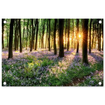 Bos met blauwe hyacinten bij zonsopgang