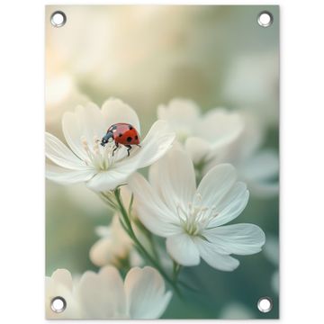 Tuinposter - Lieveheersbeestje - Bloemen - Wit
