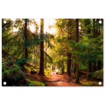 Tuinposter - Mossig bospad