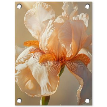 Tuinposter - Close up - Oranje - Iris