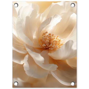 Tuinposter - Close up - Pioenroos - Wit