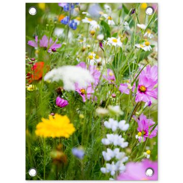 Tuinposter - Wilde bloemen in volle bloei