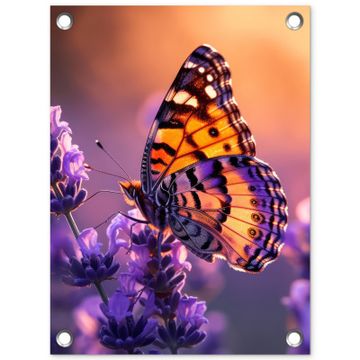 Vlinder op lavendel bij zonsondergang