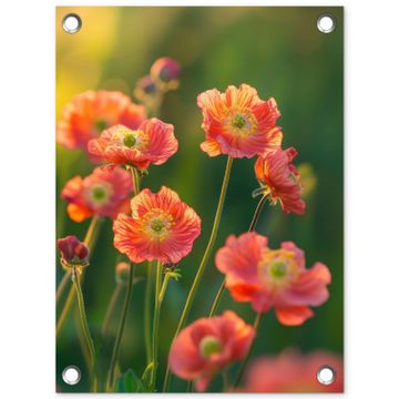 Tuinposter - Bloemenveld - Zonnestralen - Oranje