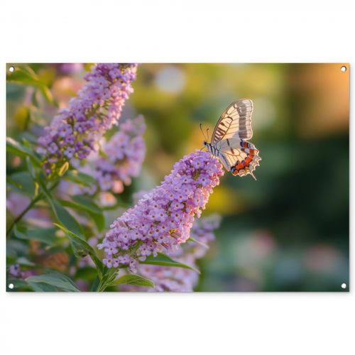 Tuinposter - Sierlijke - Vlinder - Paarse - Bloemen