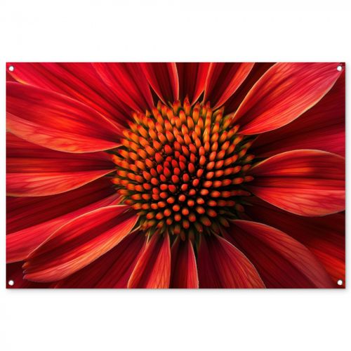 Tuinposter - Close up - Bloem- Rood