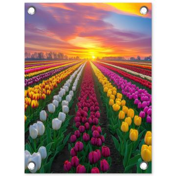 Tuinposter - Tulpenveld - Zonsondergang - Kleurrijk