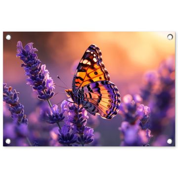 Vlinder op lavendel bij zonsondergang