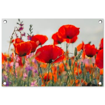 Tuinposter - Bloeipracht van Klaprozen