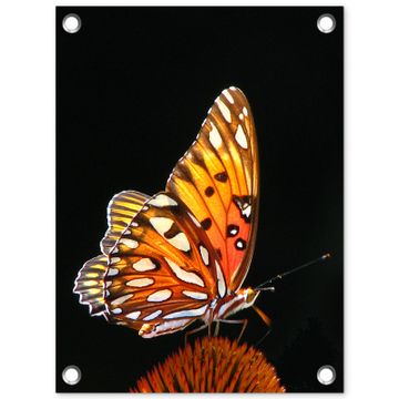 Vlinder op bloem
