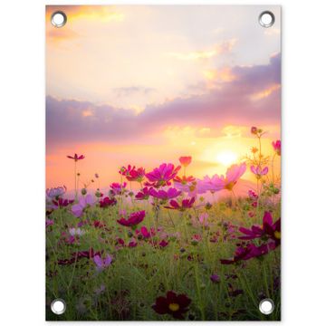 Bloemenveld bij zonsondergang