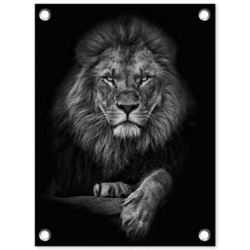 Tuinposter - Zwart-wit portret van een leeuw