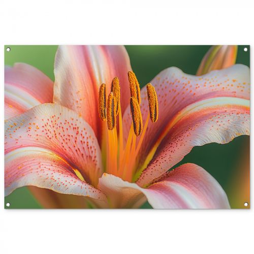 Tuinposter - Lelie - Close up - Lichtroze
