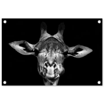 Giraffe portret in zwart-wit