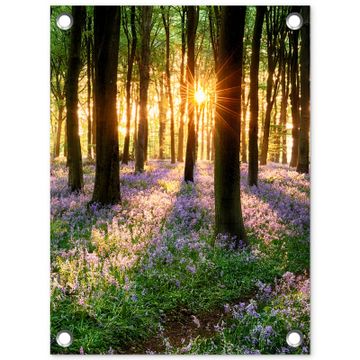 Tuinposter - Bos met blauwe hyacinten bij zonsopgang