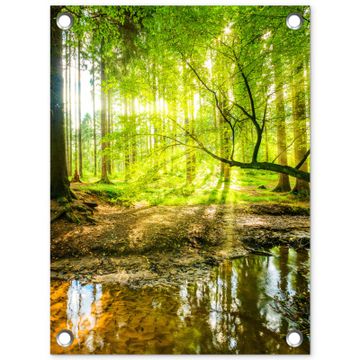 Zonnestralen in een groen bos