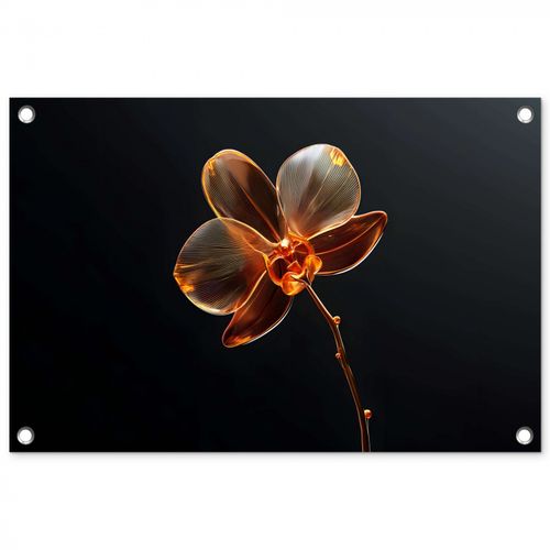 Tuinposter - Orchidee - Doorzichtig - Bloem