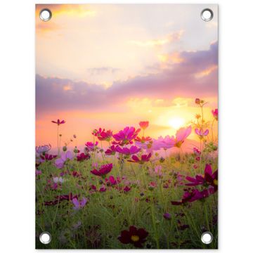 Tuinposter - Kosmosbloemen bij zonsondergang