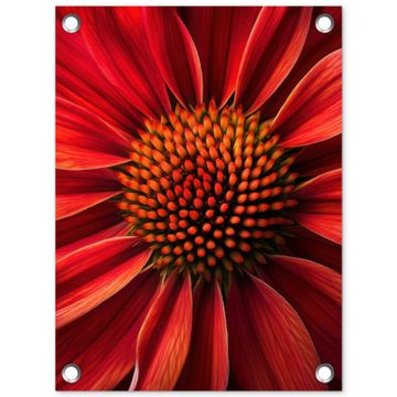 Tuinposter - Close up - Bloem- Rood