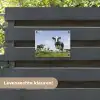 Koeien in de weide onder een heldere lucht tuinposter los doek klein -sfeer3