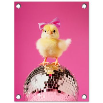 Tuinposter - Discobal - Kuiken - Strik