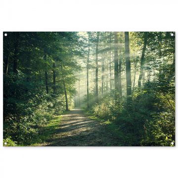 Tuinposter - Bosweg in ochtendlicht