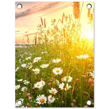 Tuinposter - Wilde bloemen in de ochtendzon