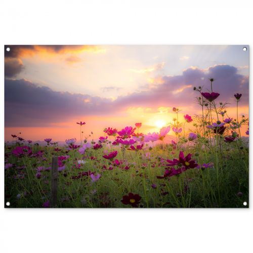 Tuinposter - Kosmosbloemen bij zonsondergang