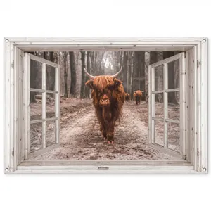 Tuinposter - Hooglander door het Raam