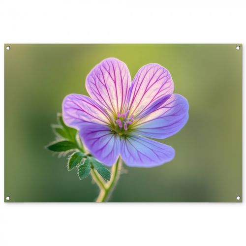 Tuinposter - Bloem - Close up - Paars