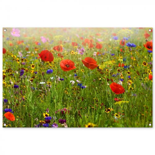 Tuinposter - Weide van wilde bloemen en klaprozen