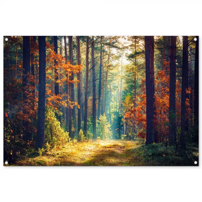 Herfstbos in de Ochtendmist tuinposter los doek groot -3d