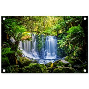 Waterval in het Regenwoud