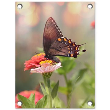 Tuinposter - Vlinder op zomerbloem