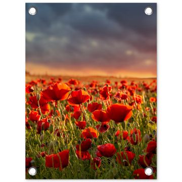 Tuinposter - Klaprozenveld bij zonsondergang