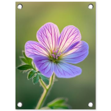 Tuinposter - Bloem - Close up - Paars