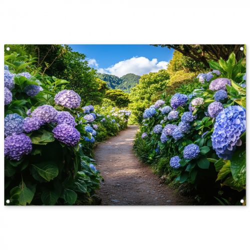 Tuinposter - Hortsensia - Pad - Bloemen
