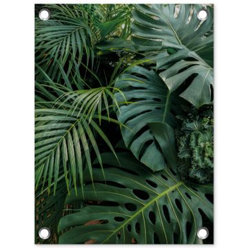 Tuinposter - Tropische Bladeren
