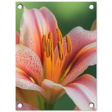 Tuinposter - Lelie - Close up - Lichtroze
