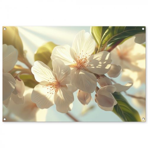 Tuinposter - Bloesems - Wit - Zonnestralen -  Bloemblaadjes