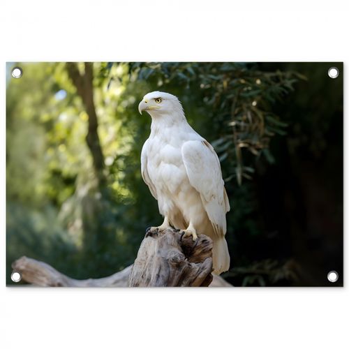 Tuinposter - Arend - Hout - Wit - Planten