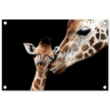Tuinposter - Moederlijke tederheid bij giraffen