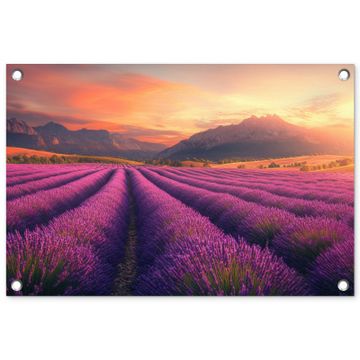 Tuinposter - Lavendelveld - Zonsondergang - Paars