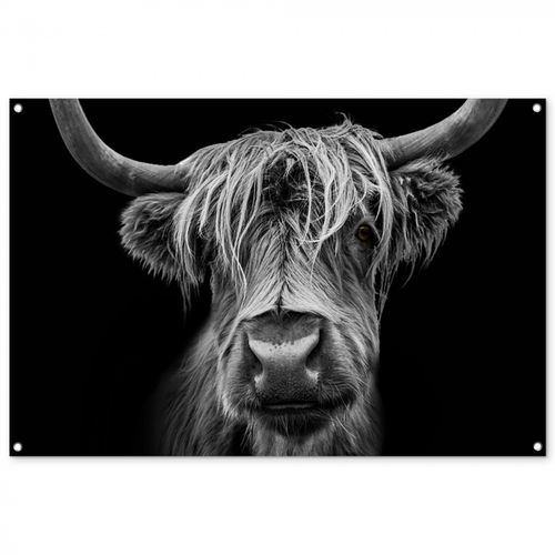 Hooglander in Zwart-Wit