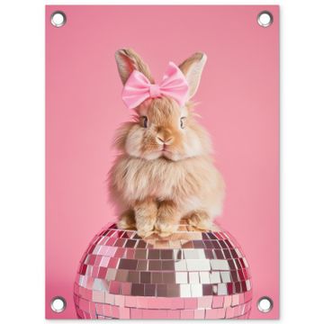 Tuinposter - Strik - Discobal - Konijn