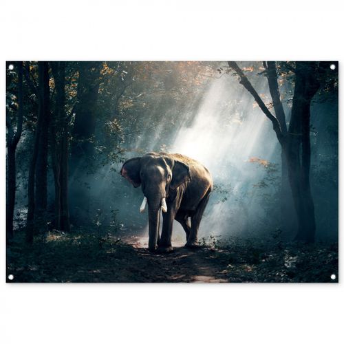 Olifant in mystiek bos