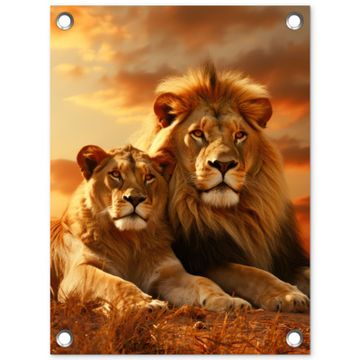 Tuinposter - Leeuwenpaar bij zonsondergang