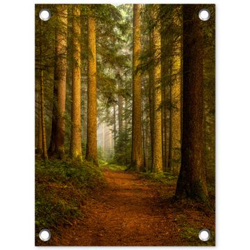 Tuinposter - Pad door majestueus dennenbos