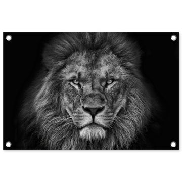 Tuinposter - Zwart-wit portret van een leeuw