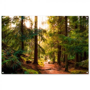 Tuinposter - Mossig bospad